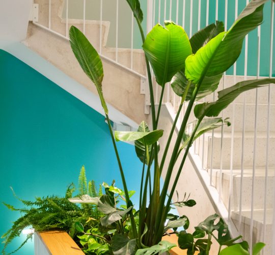 e276935ce0804983833972a49434016b335f150f